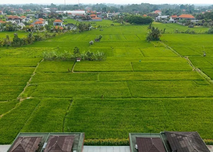 Celia 3br With Pool & Rice Field View * Ubud